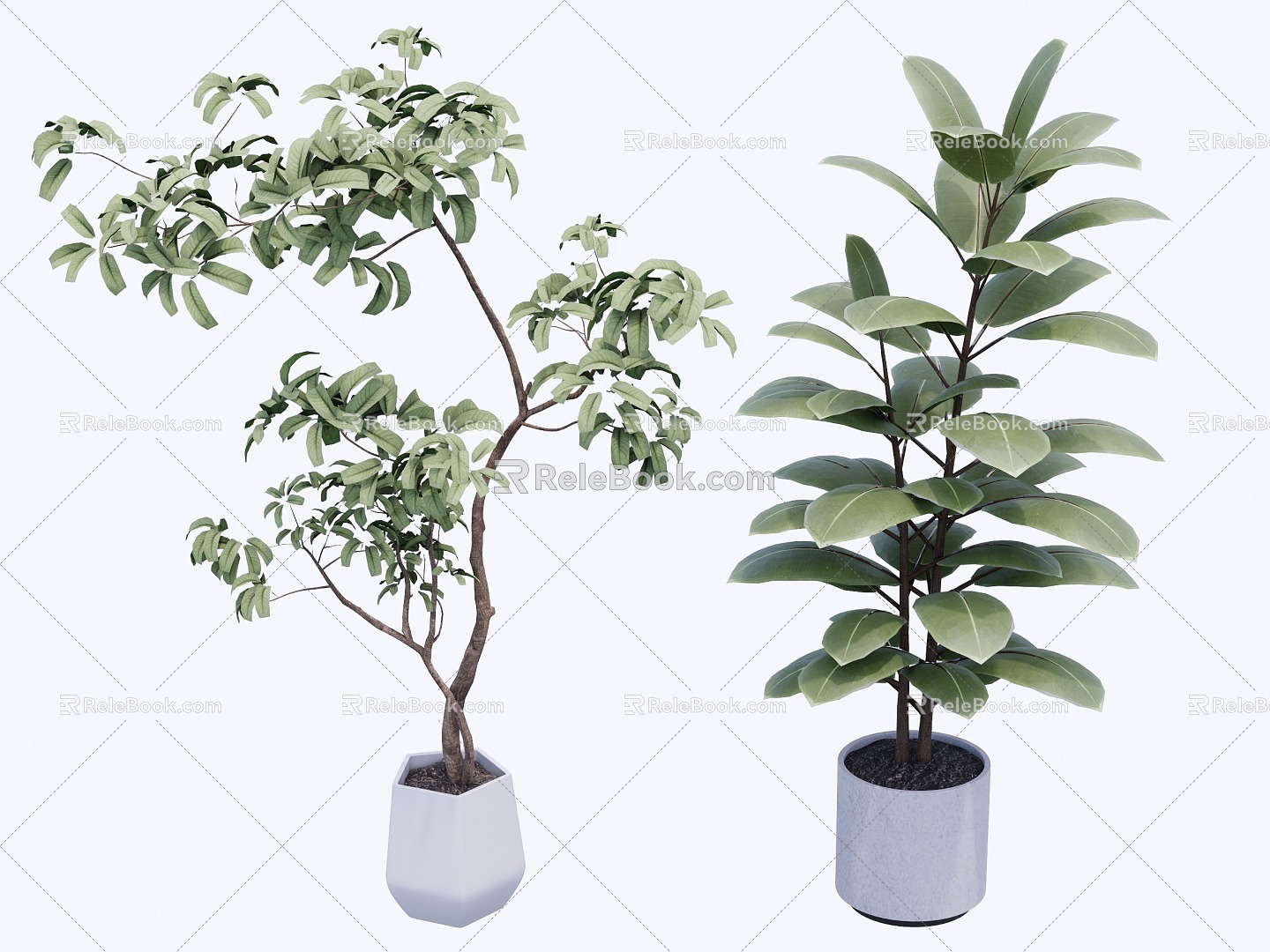 indoor potted plant 3d model