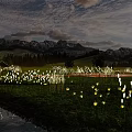 Decorative Outdoor Lights Illuminating Nighttime Grass Field With Mountain Backdrop And Water Reflection