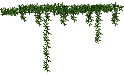 Modern Vine Plant Wall Decorative Green Plant 3d model