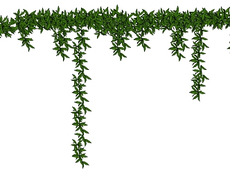 Modern Vine Plant Wall Decorative Green Plant 3d model