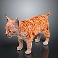Lynx Kitten With Striped Orange Fur And Black Ear Tufts Standing On Reflective Surface