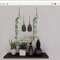 Bonsai Potted Plants With Hanging Vines Orchids Succulents On Dark Table And Light Wall