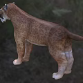 Destruction blade tooth tiger saber tooth tiger chaos blade tooth tiger 3d model