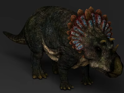 Realistic Reptile Dinosaur Triceratops With Colorful Frill Horns And Textured Skin Design 3d model