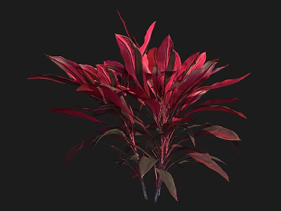 Vibrant Red Leaf Shrub With Lush Foliage And Dark Green Accents 3d model