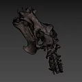 Detailed Animal Skull With Sharp Teeth And Bone Texture On Black Background