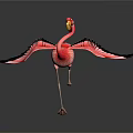 Pink Flamingo Spreading Black Wings as a Flying Bird with Graceful Posture