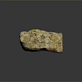 Chi chrysanthemum stone ancient fossil stone chrysanthemum fossil items 3d model