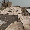 Scattered Cardboard Pieces On Dirt Ground With Fallen Leaves Near Tree Trunk And Water Edge
