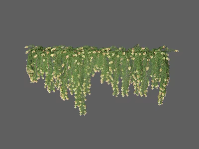Hanging Green Vine With Lush Leaves And White Small Flowers For Natural Decoration 3d model