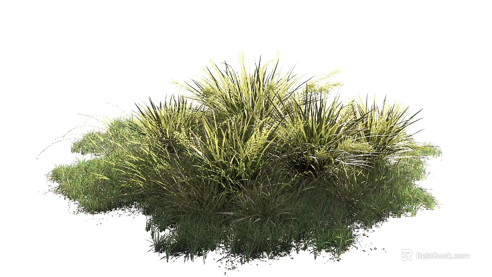 Lush Green Grass With Feathery Leaves And Tall Stems In Natural Garden 3d model 