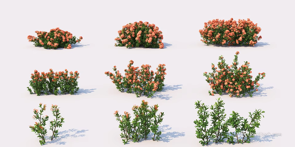 Colorful Floral Bushes With Orange Blossoms And Green Foliage For Garden Landscaping 3d model 