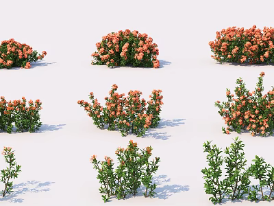 Colorful Floral Bushes With Orange Blossoms And Green Foliage For Garden Landscaping 3d model