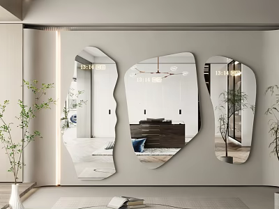 Irregular Shaped Decorative Mirrors For Modern Interior Wall Decor With Plant Reflections And Lighting 3d model