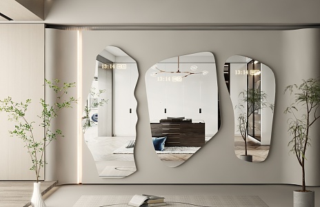 Modern Mirror Dressing Mirror Art Mirror Alien Mirror Floor Mirror Irregular Mirror Full-length Mirror 3d model