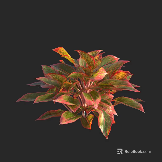 Vibrant Shrub with Red and Green Variegated Leaves Ideal for Garden Landscaping and Outdoor Decor 3d model 