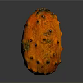 Orange Kiwano Fruit With Spiky Exterior And Black Protrusions On Gray Background With Reflection