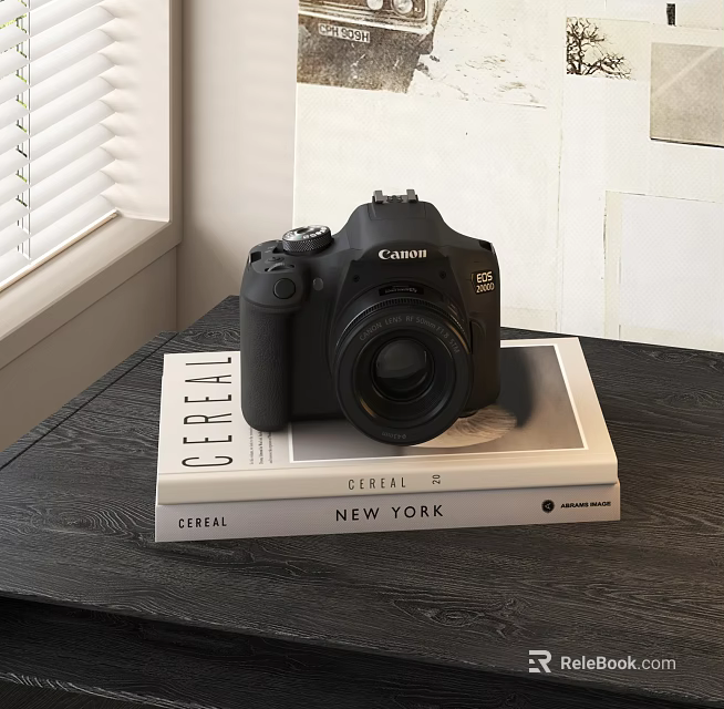 Canon DSLR Camera Sitting On Cereal Books By Window 3d model 
