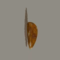 Unique Shaped Wall Lamp with Modern Bronze Frame and Amber Resin Shade
