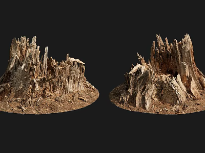 Natural Stone Wood Stumps With Rough Surface Earth Base And Natural Texture 3d model