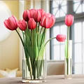 Elegant Transparent Glass Vase With Colorful Tulips For Home Interior Decor