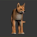 Realistic 3D Model Of Reddish Brown Fox Standing On Black Background 3d model