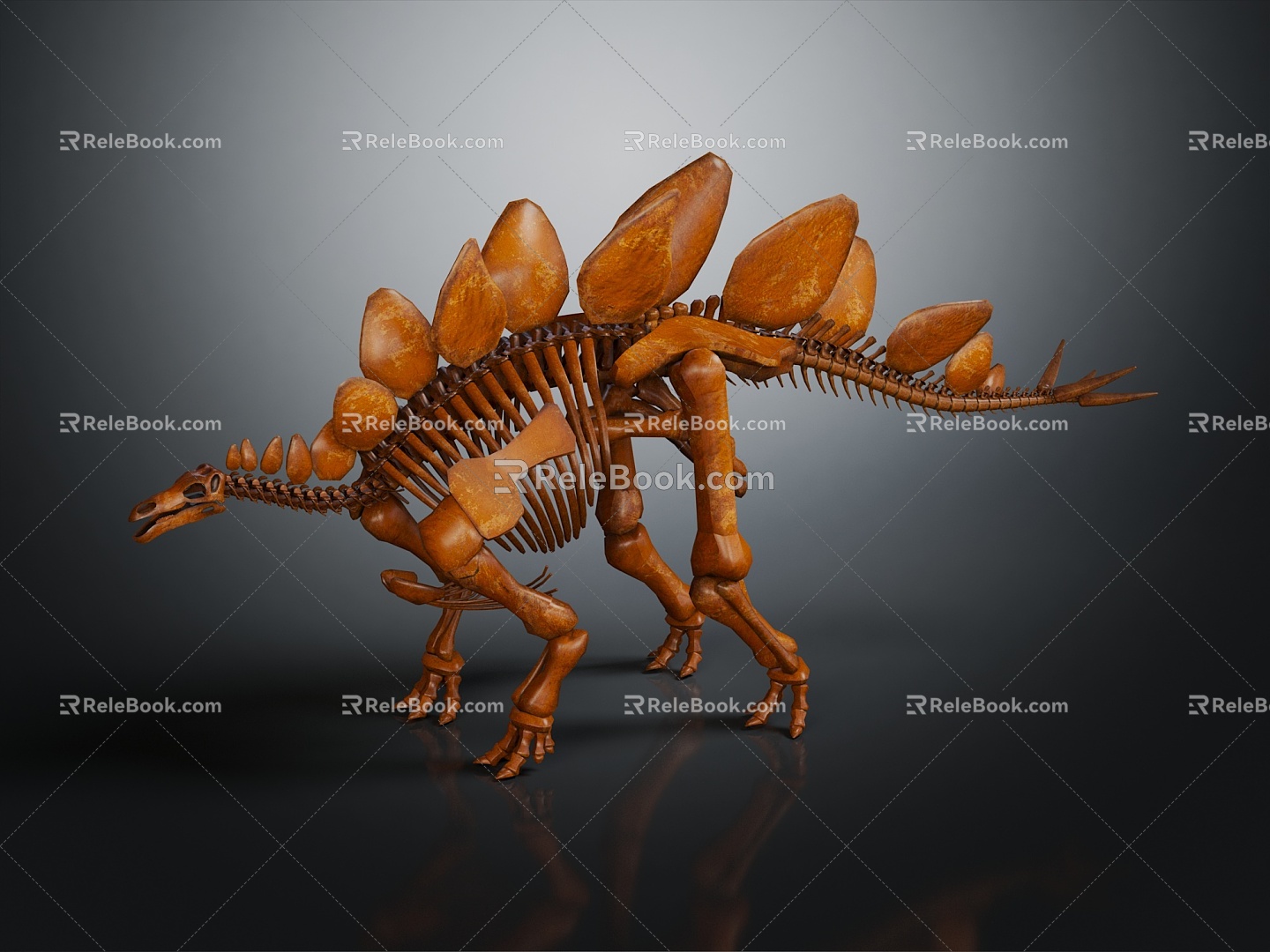 Modern Skeleton Stegosaurus Skeleton Stegosaurus Skeleton 3d model