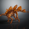 Modern Skeleton Stegosaurus Skeleton Stegosaurus Skeleton 3d model