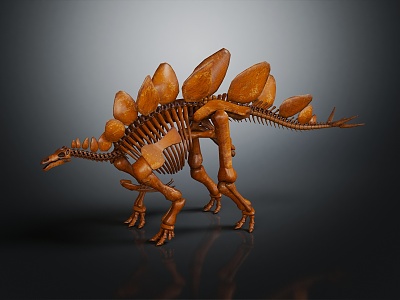 Modern Skeleton Stegosaurus Skeleton Stegosaurus Skeleton 3d model