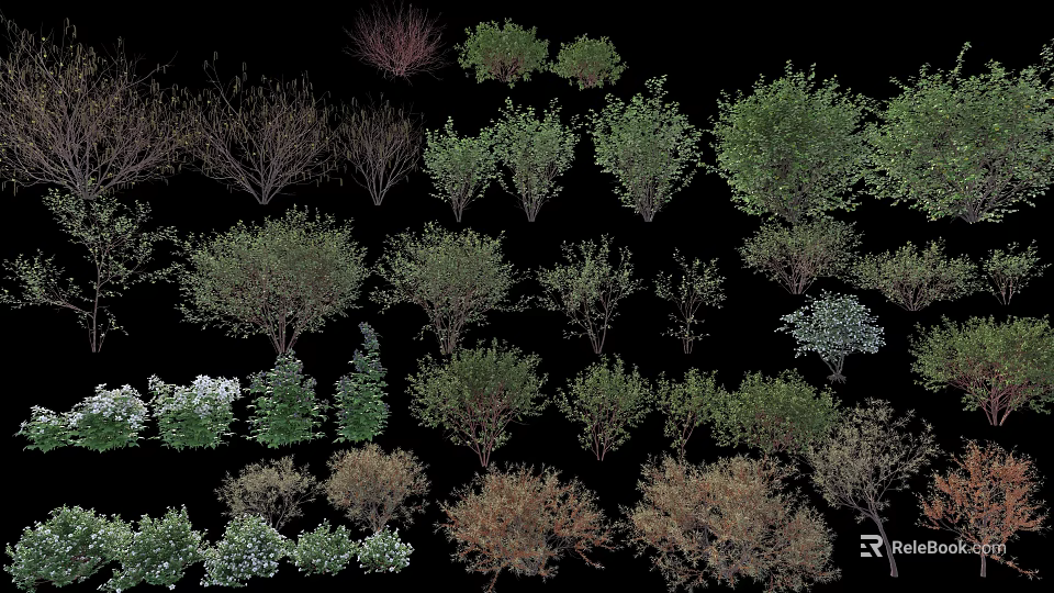 Shrubs Collection For Garden Landscaping With Green Brown And White Foliage 3d model 