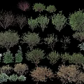 Shrubs Collection For Garden Landscaping With Green Brown And White Foliage