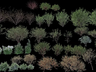 Shrubs Collection For Garden Landscaping With Green Brown And White Foliage 3d model