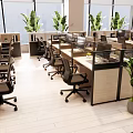 Modern Public Office Space With Open Layout Multiple Workstations Green Plants And Large Windows