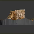 Natural Wooden Stump With Detailed Wood Grain And Stone Like Texture On Ground