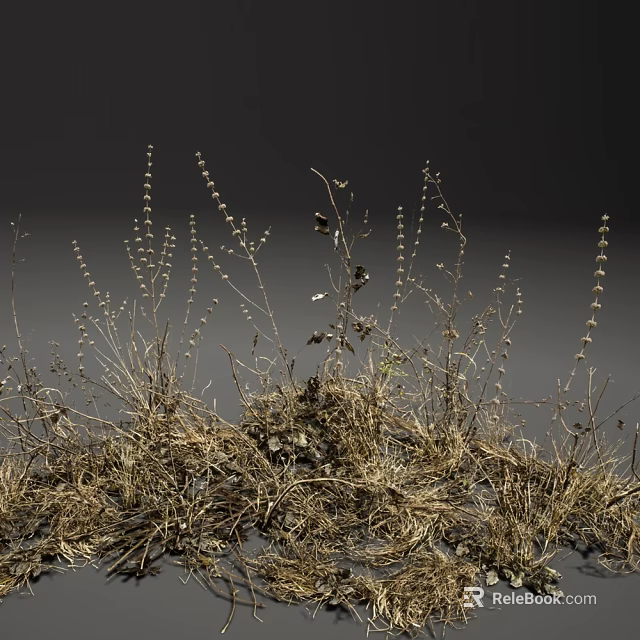 Dry Grass And Small Plants With Withered Stems Growing On Dark Background 3d model 