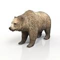 Realistic 3D Model of Large Brown Bear with Thick Fur on White Background