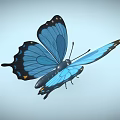 Beautiful Blue Butterfly With Vibrant Wings And Black Spots On Light Background