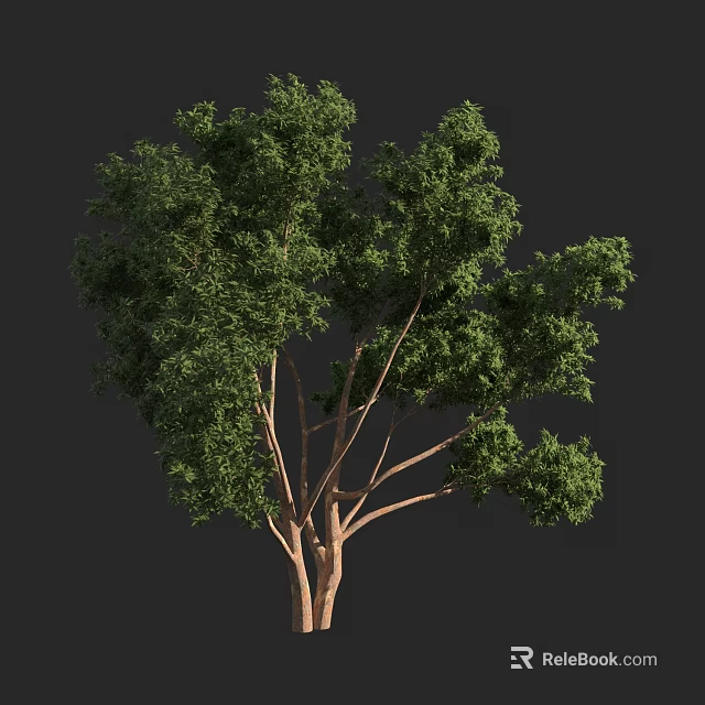 Lush Mature Tree With Dense Green Leaves Thick Branches And Strong Trunk 3d model 