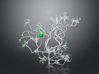 Botanical Structure With White Branches Green Particles And Large Green Sphere On Gray Background 3d model