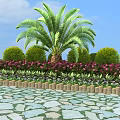 Stone Paved Roadside Facility With Palm Tree Green Shrubs Purple Flowers And Wooden Border