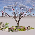 Charming Garden Decor with Pink Flowering Tree Rockery Small Pink Flowers and Green Plants