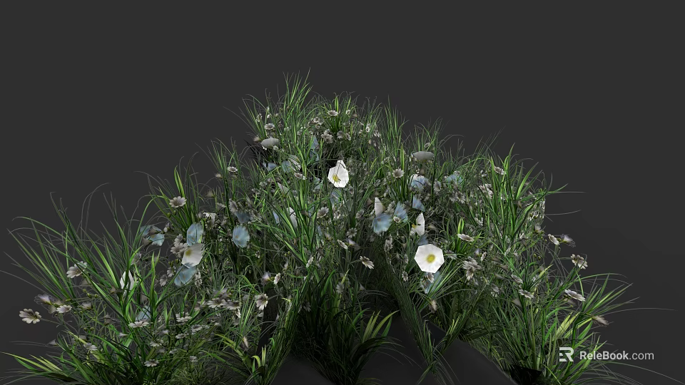 Lush Green Grass With White Flowers And Blue Blossoms In Natural Garden 3d model 