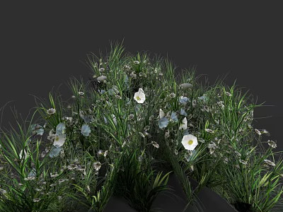Lush Green Grass With White Flowers And Blue Blossoms In Natural Garden 3d model