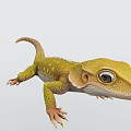 Yellow Reptile Gecko Lizard With Green Spots Large Eyes Scaled Body Curled Tail