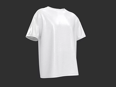 Fashion loose T-shirt top clothing 3d model