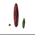 Fresh Colorful Corn Small Orange Tomato And Green Vegetable Healthy Snacks
