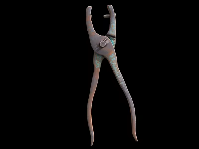 Rusty Pliers As Essential Hardware Tool For Home Repair And DIY Tasks 3d model