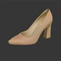 Nude Pink High Heel Shoes with Pointed Toe and Block Heel Elegant Stylish Women's Footwear