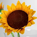 Decorative Ornament Set With Transparent Vase Two Sunflowers And Small Bottom Granules