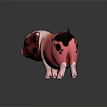 Cute Pink And White Piglet With Black Spots Standing On Reflective Surface